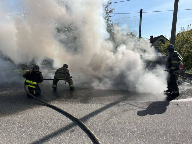 11.04.2024 -  dqxikeidqxidant