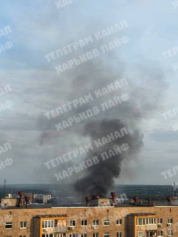 11.06.2025 - 1 dqxikeidqxitkant