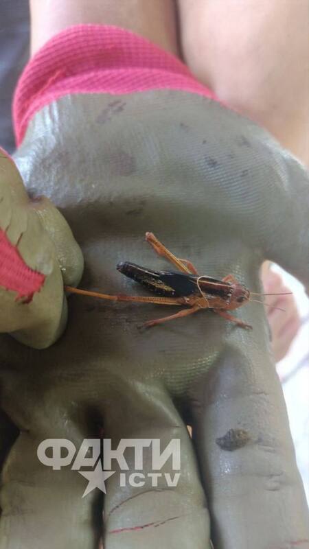 11.07.2025 - 1 dqxikeidqxitkant