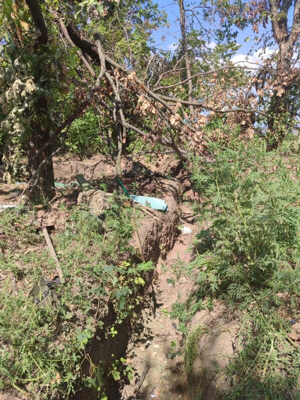 11.08.2023-  dqxikeidqxitkant