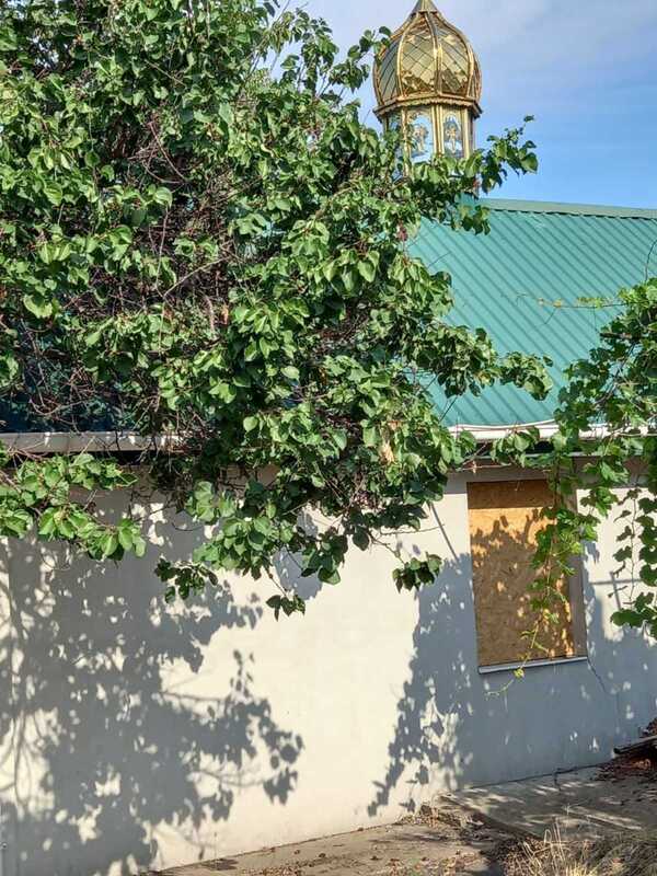 11.08.2024 -  dqxikeidqxidant