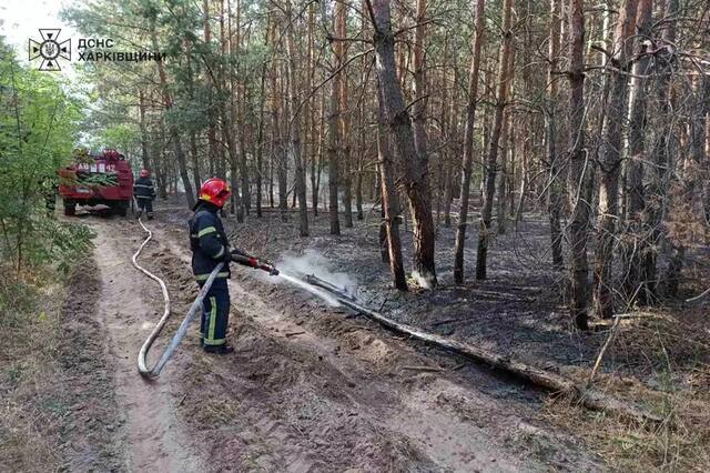 11.08.2024 -  dqxikeidqxiqxxant