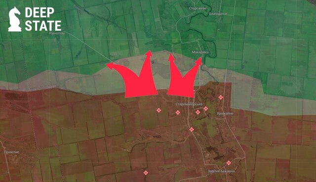 11.11.2024 -  dqxikeidqxitkant