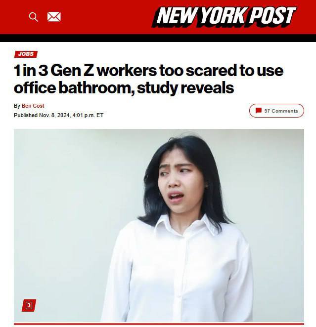 11.11.2024 -  dqxikeidqxitkant