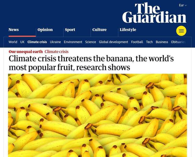 13.05.2025 - 1 dqxikeidqxiqqeant