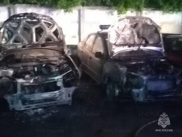 13.05.2025 - 1 dqxikeidqxitkant