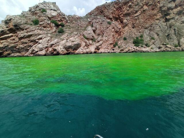 13.06.2023-  dqxikeidqxiqxxant