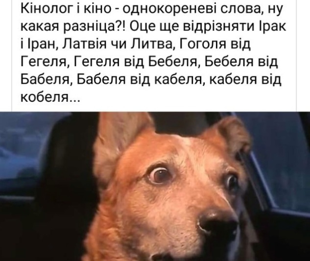 13.11.2022 dqxikeidqxitkant