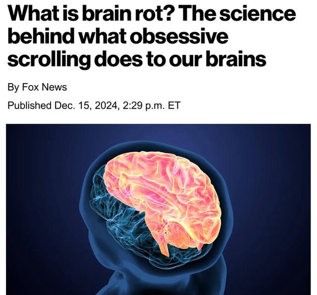 15.12.2024 -  dqxikeidqxitkant