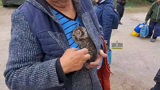 16.05.2024 -  dqxikeidqxiqqeant