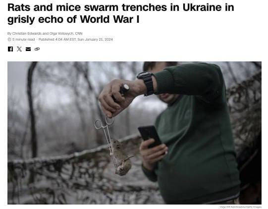 17.01.2024 -  dqxikeidqxitkant