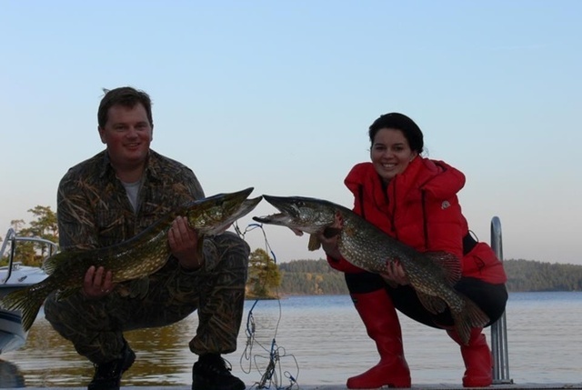 17.11.2020_2 dqxikeidqxitkant