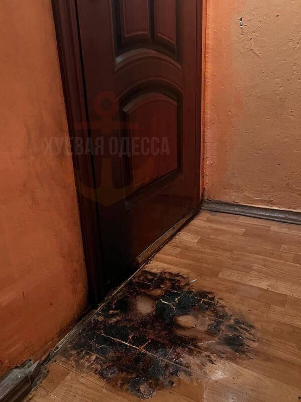 17.11.2023- dqxikeidqxitkant