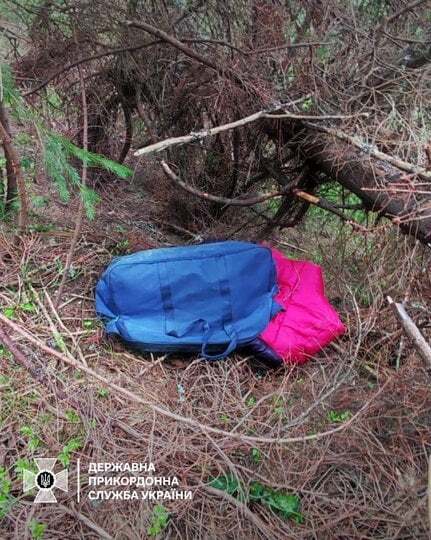 19.05.2024 -  dqxikeidqxitkant