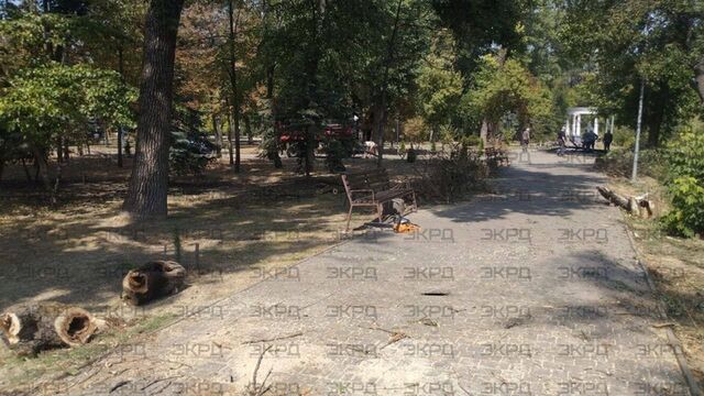 19.08.2024 -  dqxikeidqxitkant