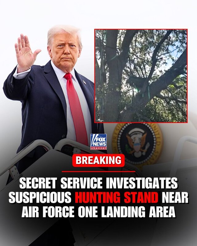 19.10.2025 - 1 dqxikeidqxitkant