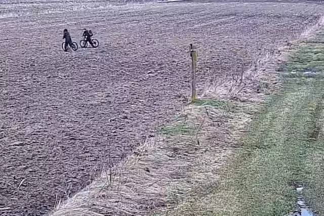 25.02.2024 -  dqxikeidqxitkant