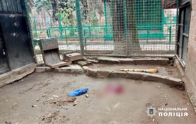 21.12.2024 - dqxikeidqxitkant