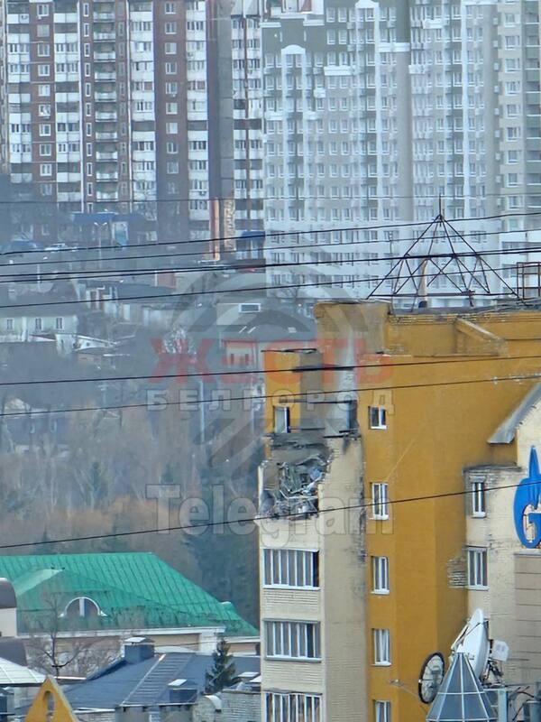 22.03.2024 -  dqxikeidqxitkant