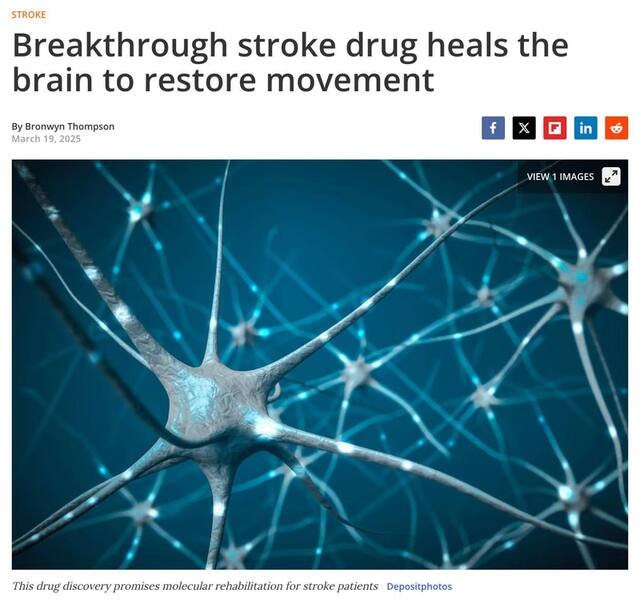 22.03.2025 -1  dqxikeidqxitkant