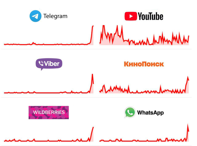 22.08.2024 -  dqxikeidqxitkant