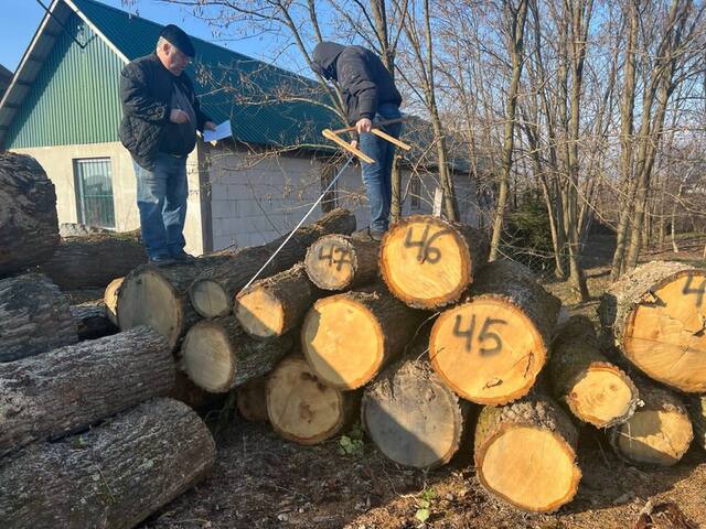 24.01.2024 -  dqxikeidqxiqqeant