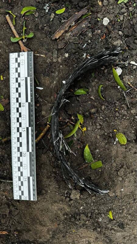 25.03.2024 -  dqxikeidqxitkant