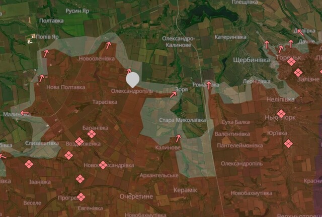 25.05.2025 - 1 dqxikeidqxitkant