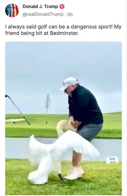 25.05.2025 - 1 dqxikeidqxitkant