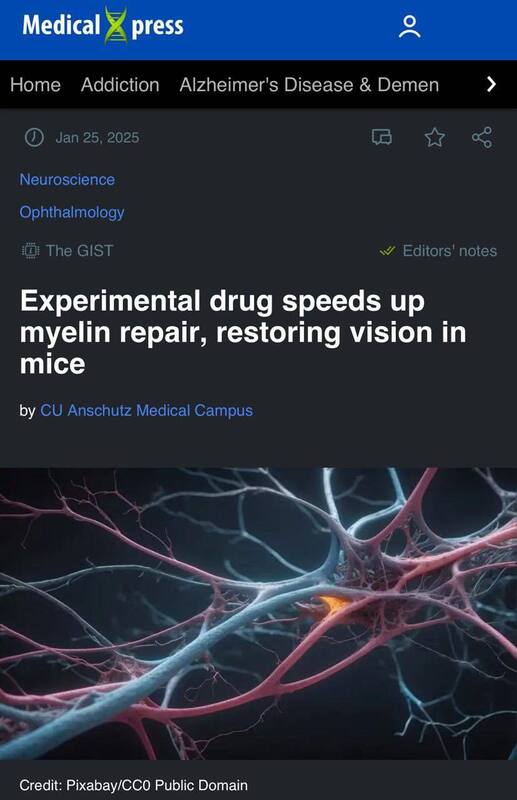 26.01.2025 -  dqxikeidqxitkant