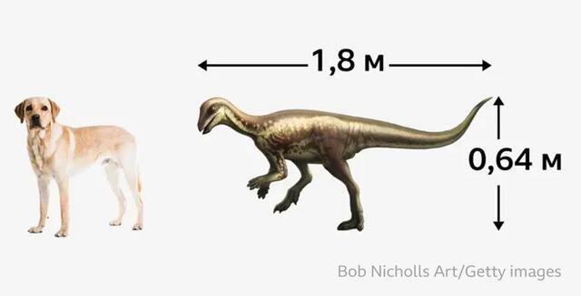 26.06.2025 - 1 dqxikeidqxitkant