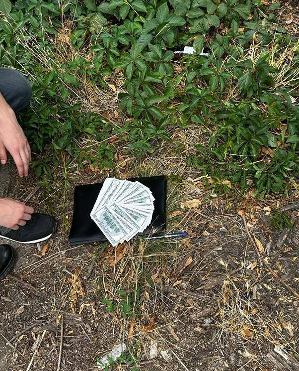 26.07.23- dqxikeidqxitkant