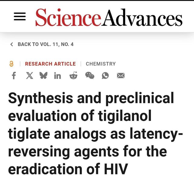 27.01.2025 -  dqxikeidqxitkant