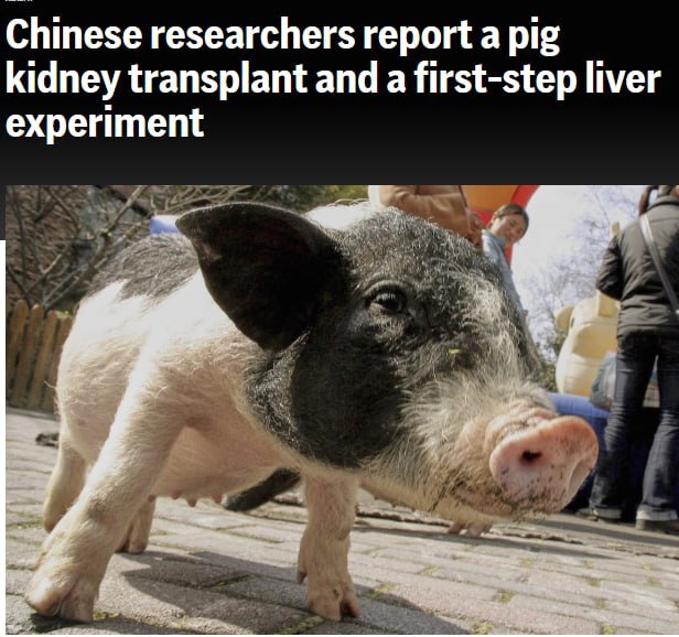 27.03.2025 - 1 dqxikeidqxitkant