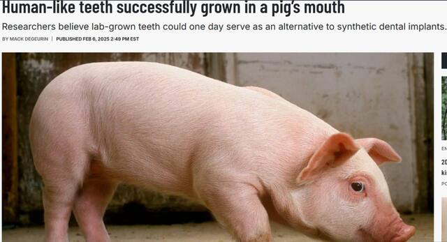 27.04.2025 - 1 dqxikeidqxitkant