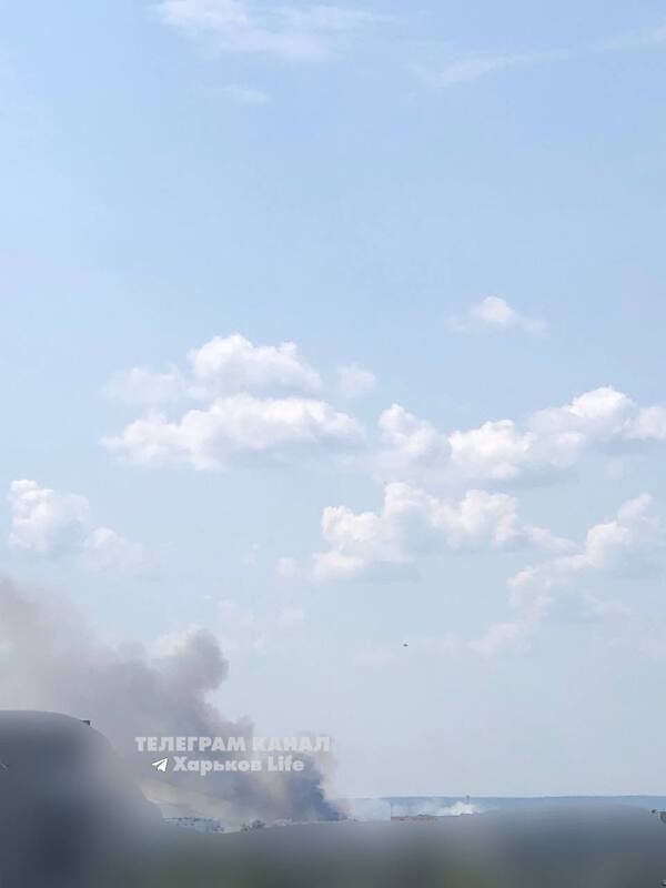 27.07.2024 -  dqxikeidqxitkant