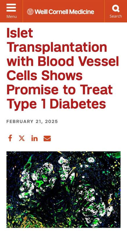 28.02.2025 -  dqxikeidqxitkant