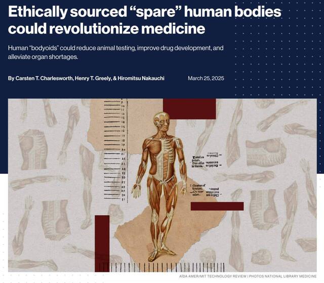 28.03.2025 - 1 dqxikeidqxiqqeant