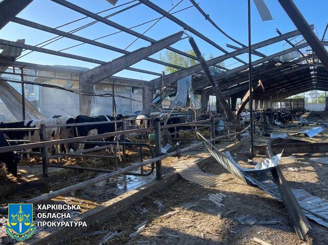 28.04.2025 -  dqxikeidqxitkant