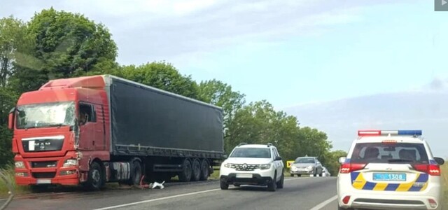 28.05.2024 -  dqxikeidqxiqqeant