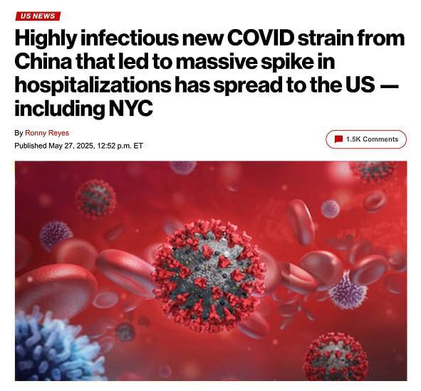 28.05.2025 - 1 dqxikeidqxitkant