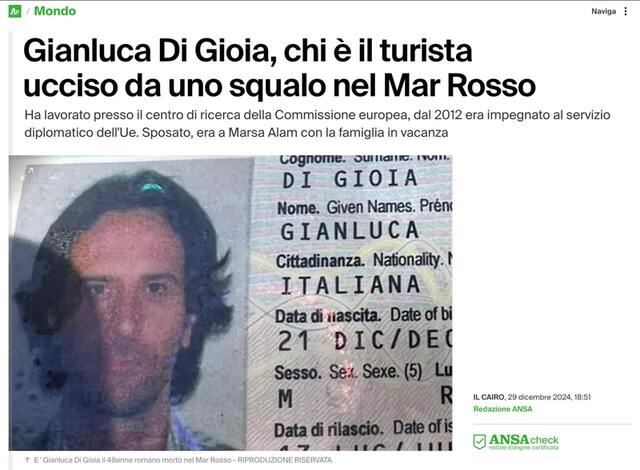 29.12.2024 -  dqxikeidqxitkant