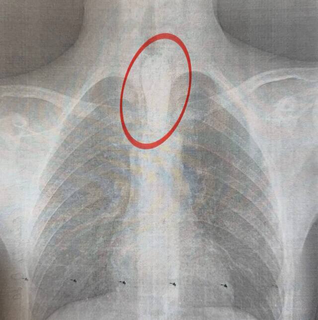 30.04.2025 - 1 dqxikeidqxiqqeant