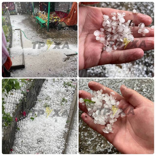 30.05.2024 -  dqxikeidqxitkant