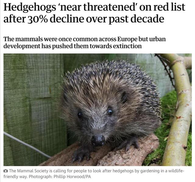 30.10.2024 -  dqxikeidqxitkant