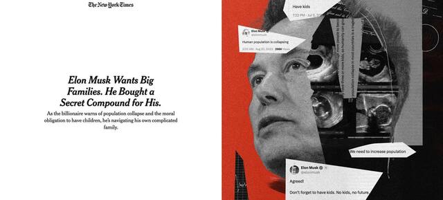 30.10.2024 -  dqxikeidqxitkant