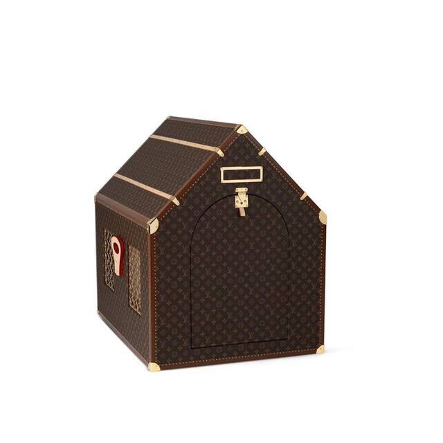 31.10.2024 -  dqxikeidqxitkant